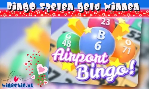 Geld verdienen met bingo